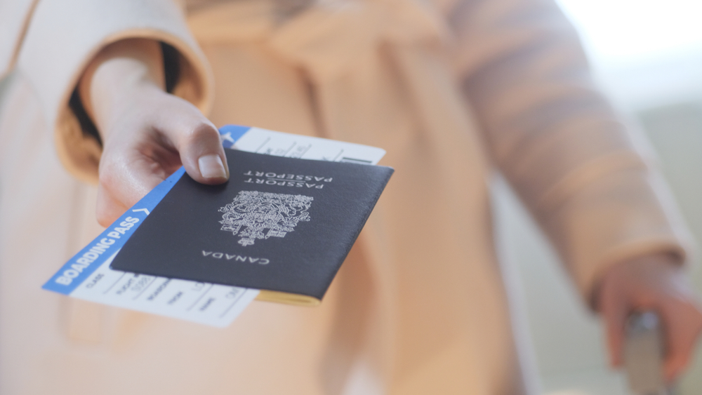 Introduction to the Immigration Channel