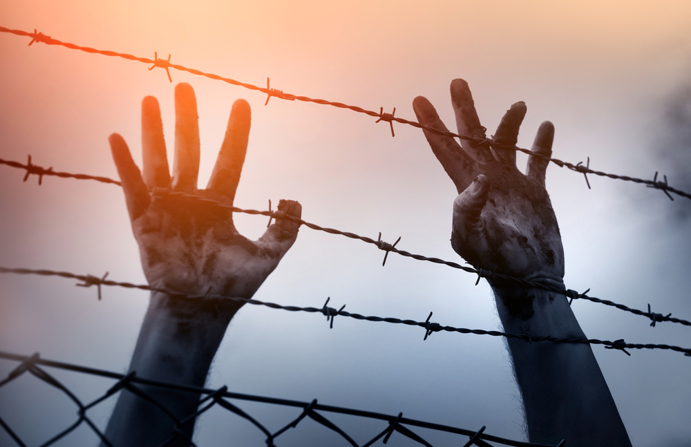 Do you know someone who has been arrested and is being detained by immigration authorities in Canada?
