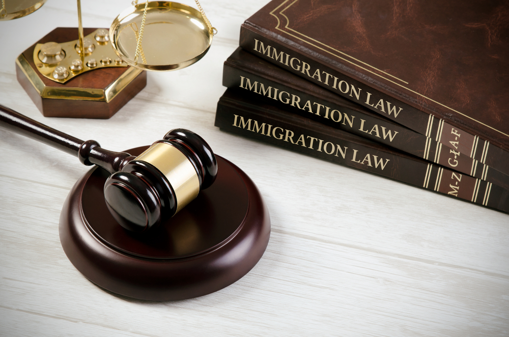 Appeals before the Immigration Appeal Division