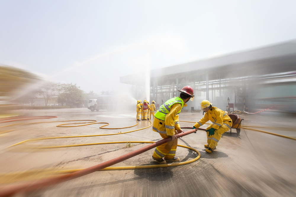 Wright v Canada (Public Safety and Emergency Preparedness), 2015 CanLII 86331 (CA IRB)