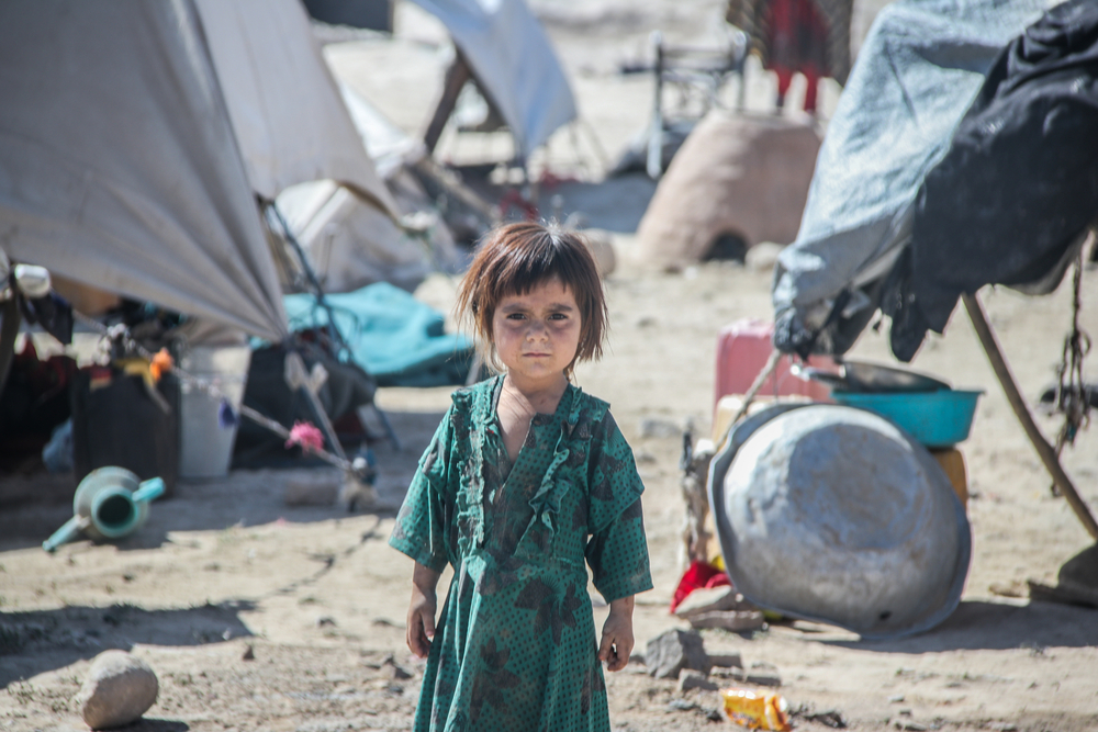 What’s behind the massive increase in positive decisions for Roma refugee claimants?
