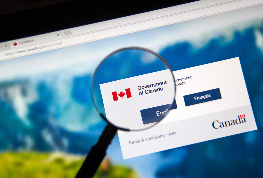 Niculescu v. Canada (Citizenship and Immigration), 2017 FC 733 (CanLII)