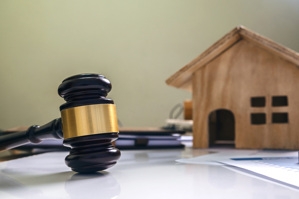 Immigration Law Justice