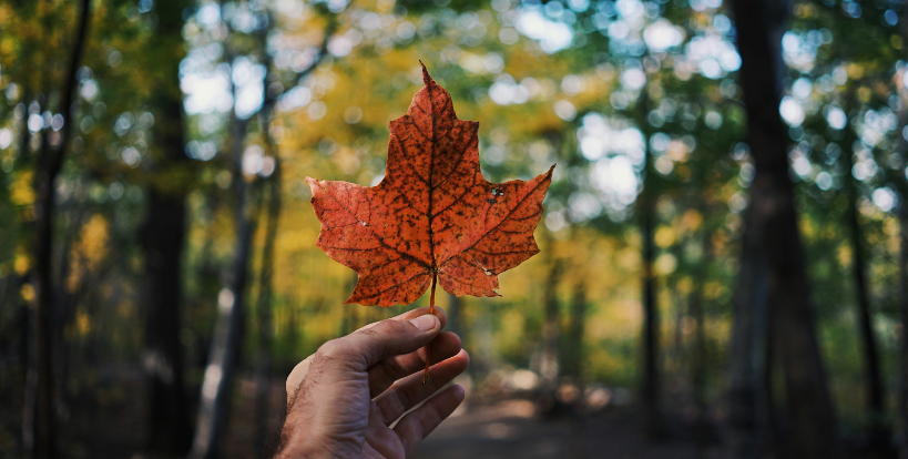 What Canadians can expect at U.S. border now cannabis is legal